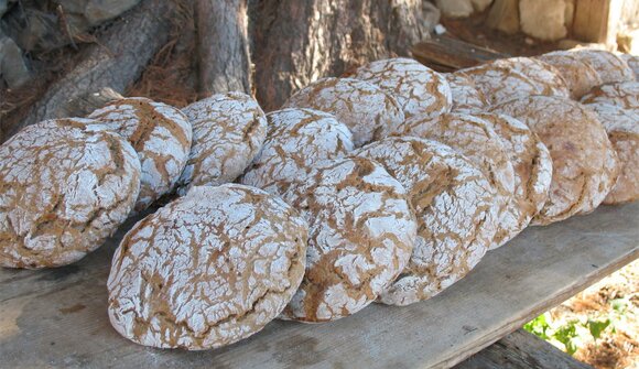 Escursione famiglie: Dal grano al pane