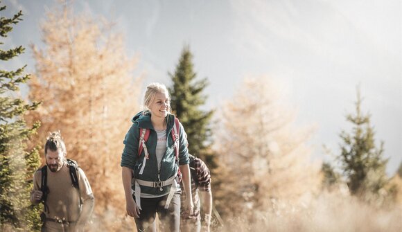 Hike: Silvestertal Valley