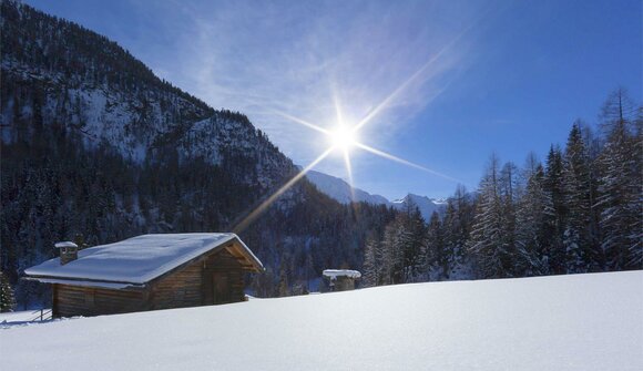 Snowshoe Tour