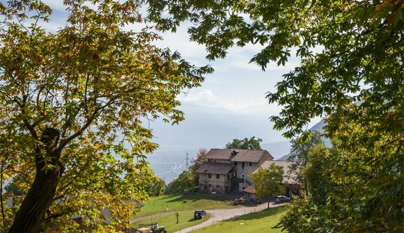 Zu Besuch im Kastanienhain