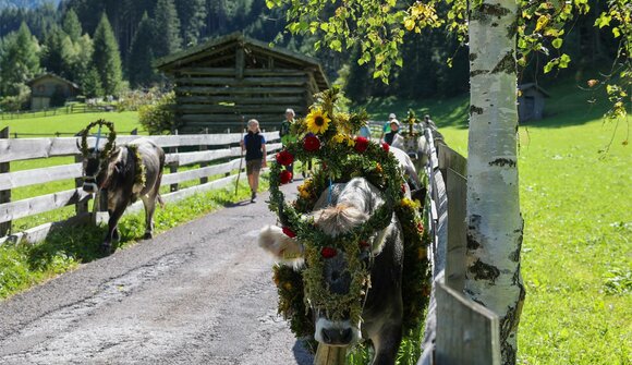 Festa della transumanza in Val Giovo