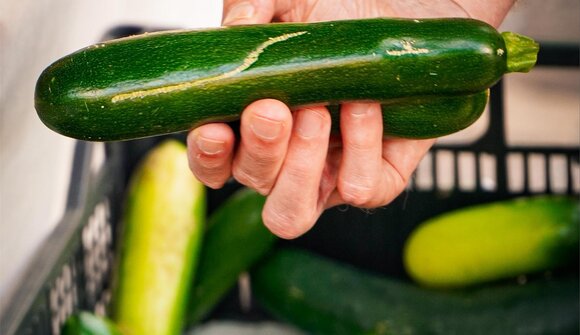 Farmers' markets