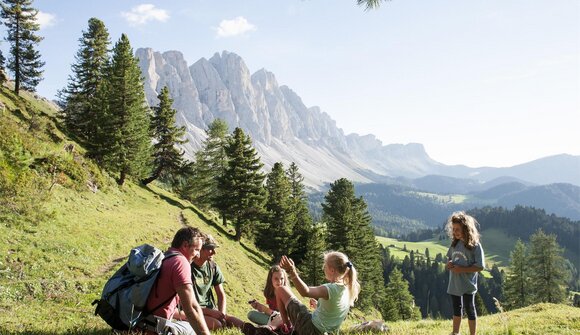 Dolomiti Ranger