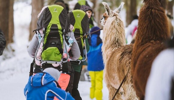 Toul Yoga - Lama-Wanderung