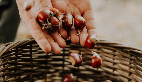 Living farming