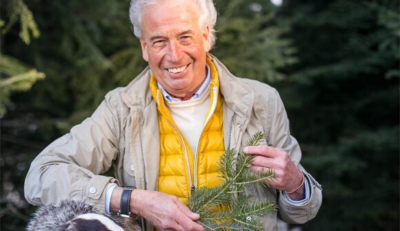 The Healing Power of the Forest