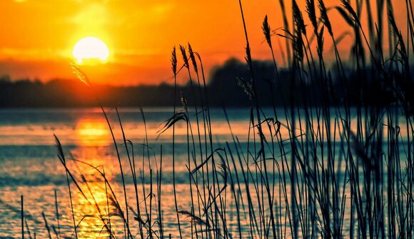 Evening at the lake