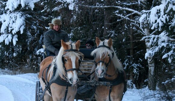 Winterromantik: Kutschfahrt durch Olang