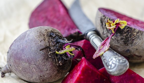 Feast day of the Beetroot in Cengles