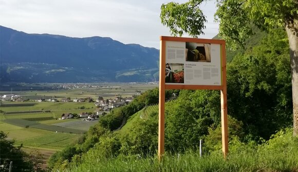 Weinwissen erwandern