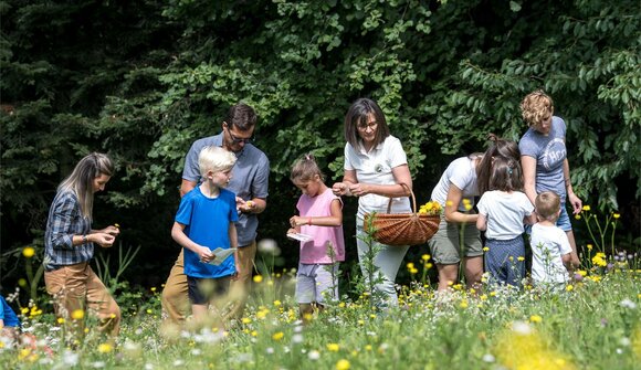 Kreative Naturwerkstatt für Familien