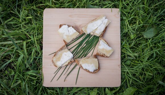 "Graukäse": Degustazione di formaggio