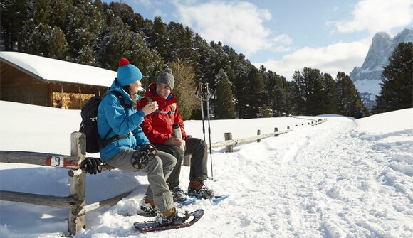 Guided snowshoe hike - Halsl