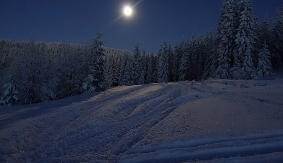 Nächtliche Schneeschuhwanderung