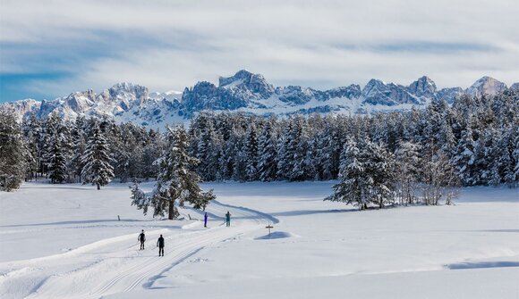 First try of cross country skiing