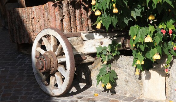 Ganzega d'autunno