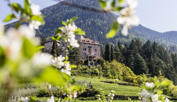 Matinée nel cortile di Castel Gaiano