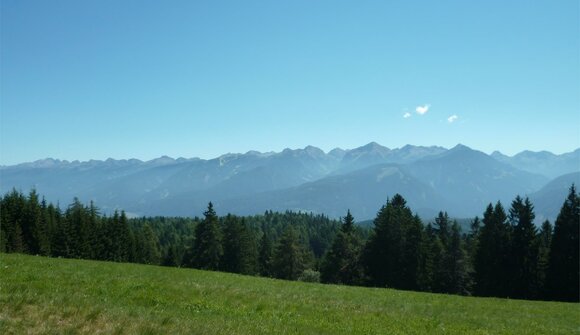 Almwanderung über Bergwiesen