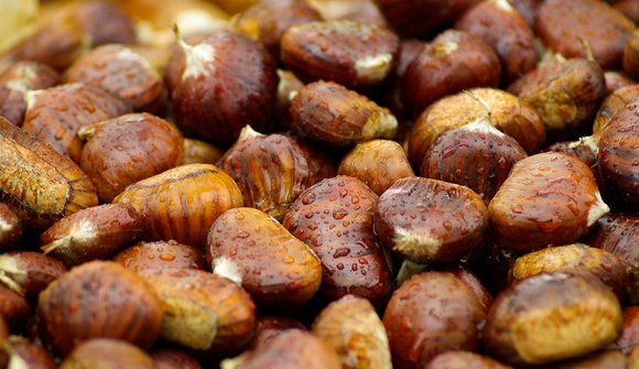 Chestnut feast "Marrone di Castione"