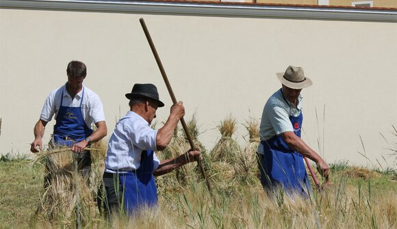 Festa della raccolta a Terento