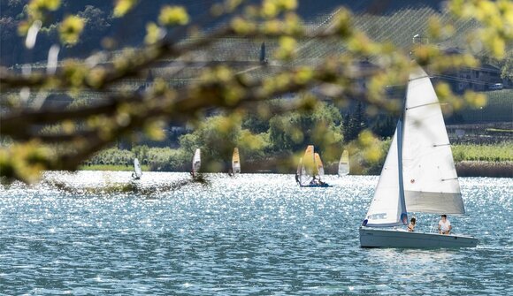 "Regatta der fallenden Blätter"