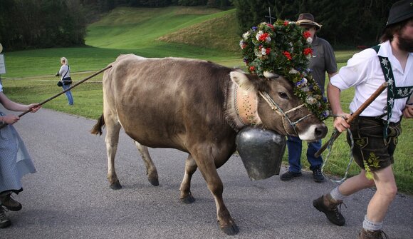 Almabtrieb mit Almfest in Telfes