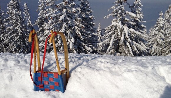 Moonshine Tobogganing