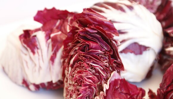 Festa del radicchio di Bieno