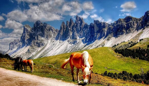 Conferenza: Alto Adige - Südtirol