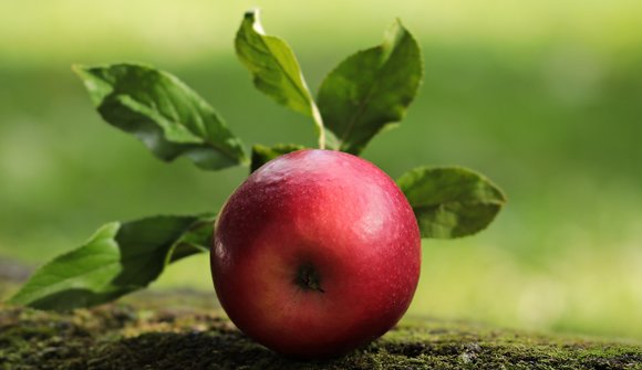 Pomaria - Val di Non apple festival