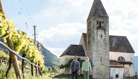 Exploring the Pinot Noir paradise