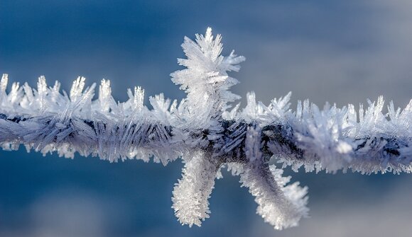 Winter walking days - Kartitsch