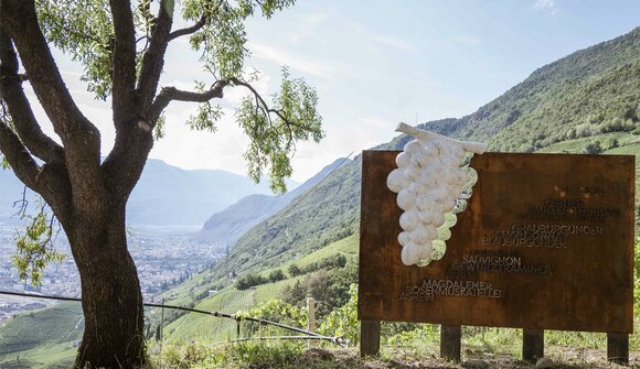 Wanderung "Wein und Kastanie"