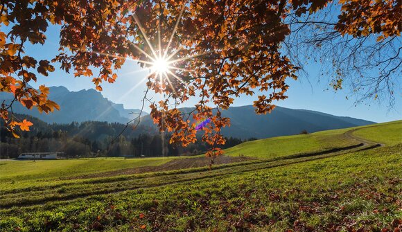 Autunno: vivere & godere la natura