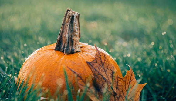 Festa della zucca a Pergine