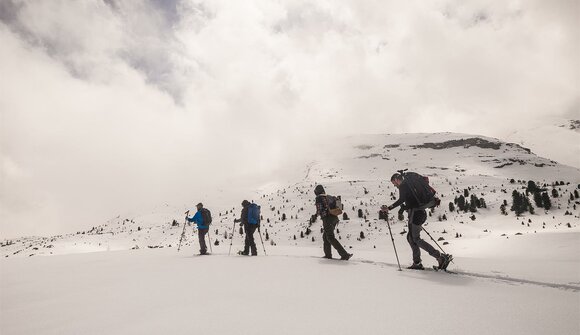 Easy snowshoe hike by moonlight