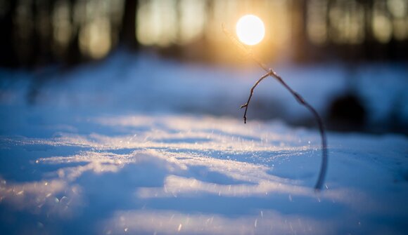 TrentinoSkiSunrise - Ciampedìe