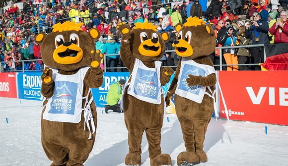 Biathlon Gaudi - village festival