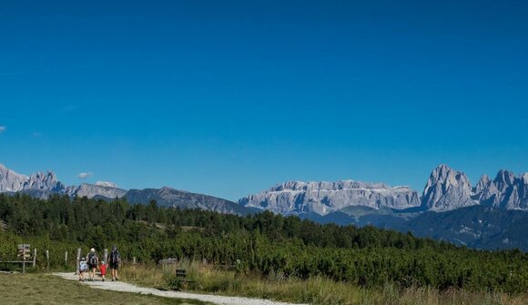 Guided hike on the alps of Villandro