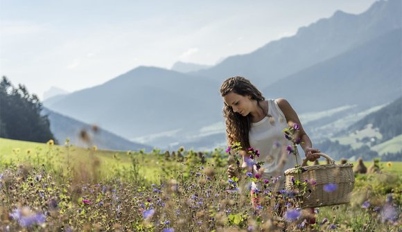 Kräuterwanderung im Nationalpark