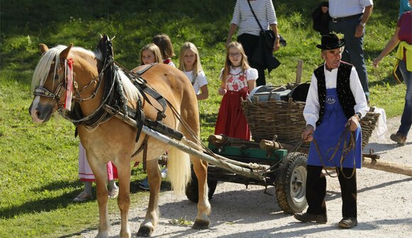 Völser Almabtrieb